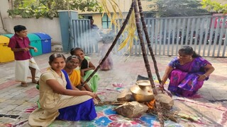 Pongal Celebration – 2019