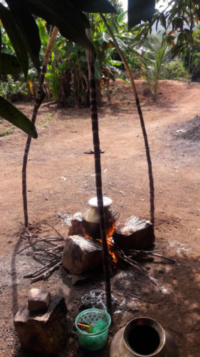 Pongal