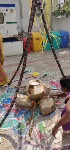 Pongal